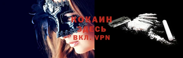 сатива Арсеньев