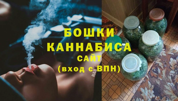 сатива Арсеньев