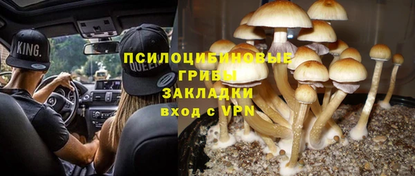 сатива Арсеньев