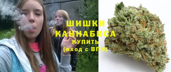 ГАЛЛЮЦИНОГЕННЫЕ ГРИБЫ Балабаново