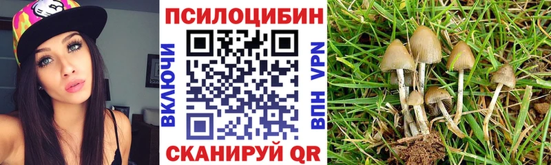 Галлюциногенные грибы Cubensis  Хилок 
